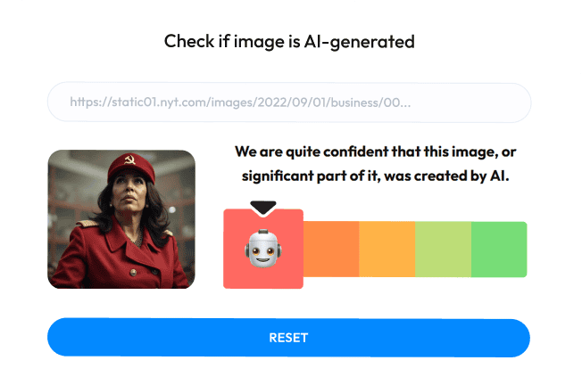 Step 3: Reviewing whole-image scores and verdict